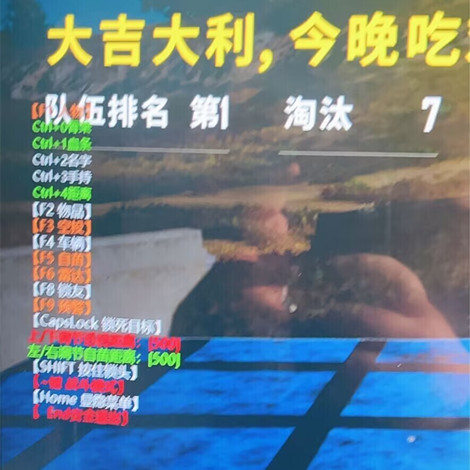 绝地求生里曼辅助-亚服吃鸡端游显物自瞄雷达助手